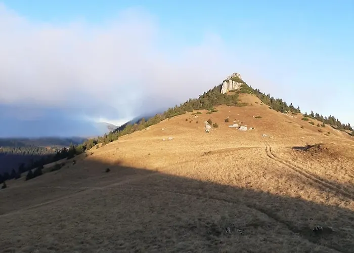 Bed & Breakfast Zazi Izba Standard